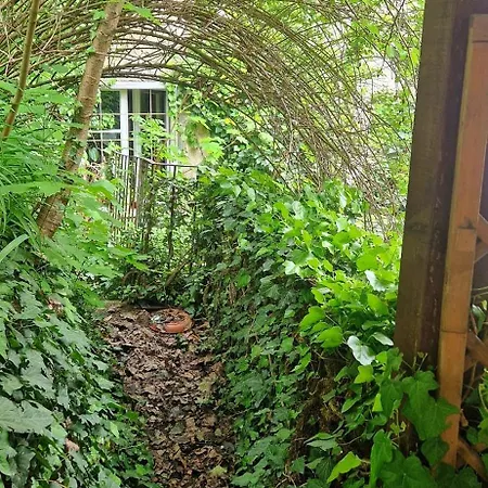 Magic Garden In The Heart Of Ljubljana Apartment Exterior photo