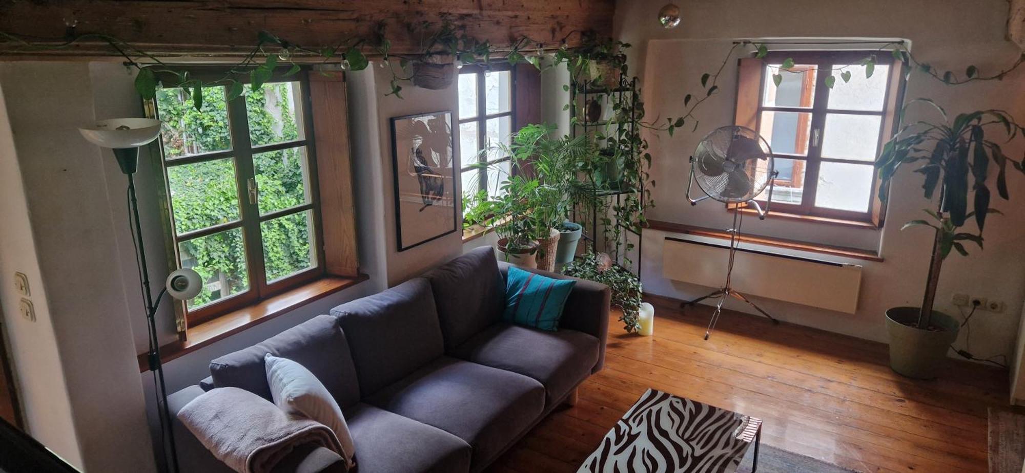 Magic Garden In The Heart Of Apartment