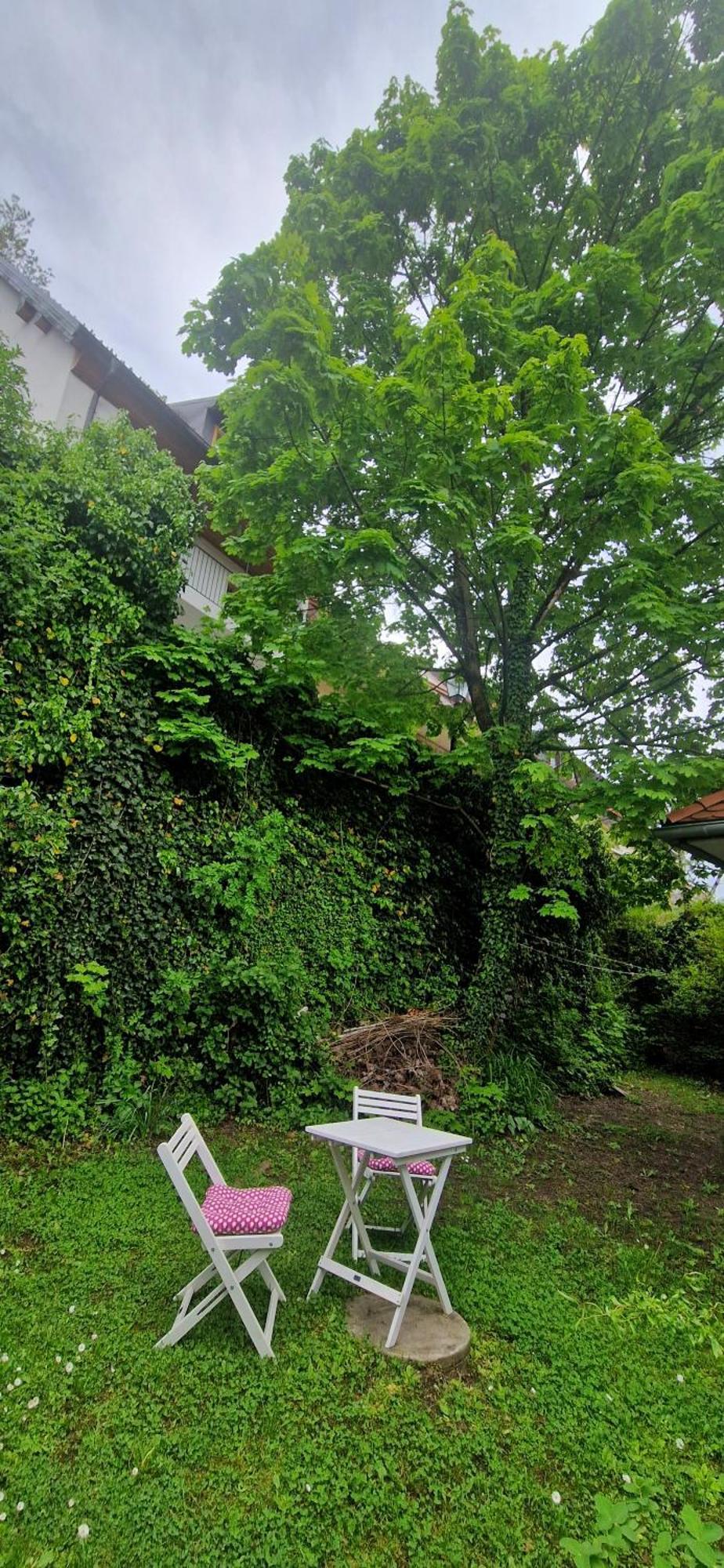 Magic Garden In The Heart Of